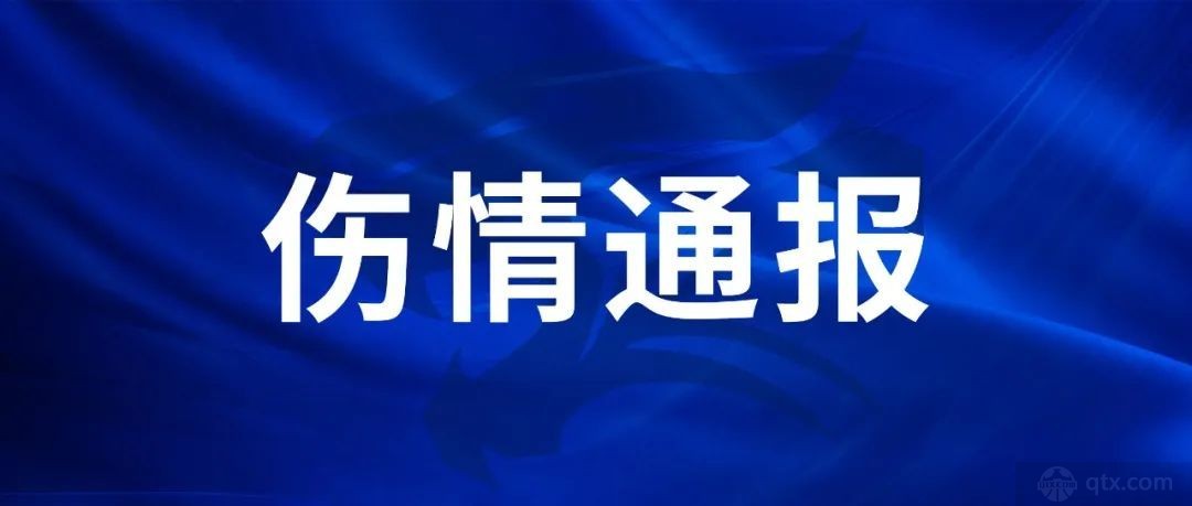 武汉三镇官宣外援图多列伤停